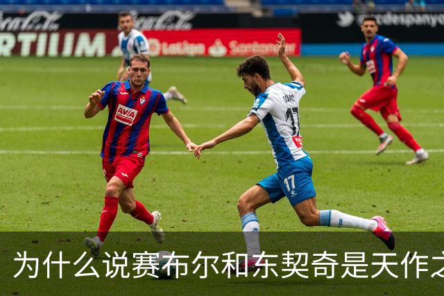 为什么说赛布尔和东契奇是天作之合？（签约评级：A）