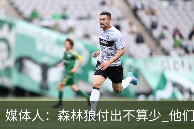 媒体人：森林狼付出不算少 他们确实需要变化 之前的阵容到上限了