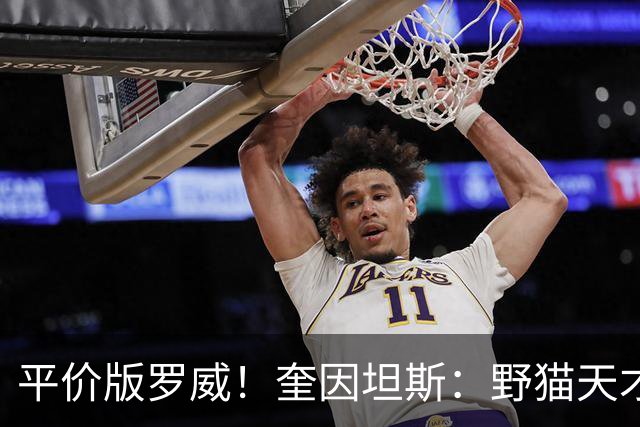 平价版罗威！奎因坦斯：野猫天才内线 存伤病隐患 罚球致敬米切罗