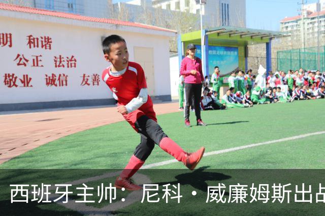 西班牙主帅：尼科·威廉姆斯出战存疑 皮诺或缺席剩余比赛