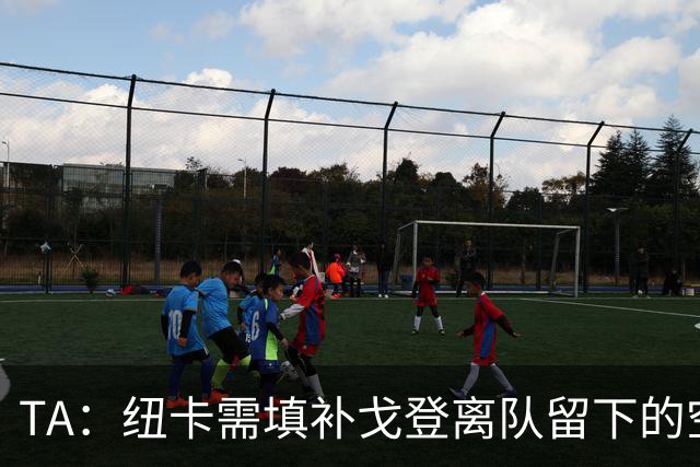 TA：纽卡需填补戈登离队留下的空缺，关注穆尼奥斯、约翰纳等球员