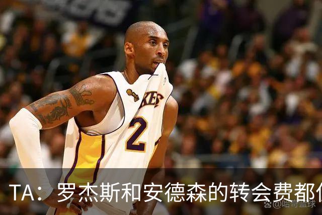 TA：罗杰斯和安德森的转会费都偏高，相比之下后者更划算一些
